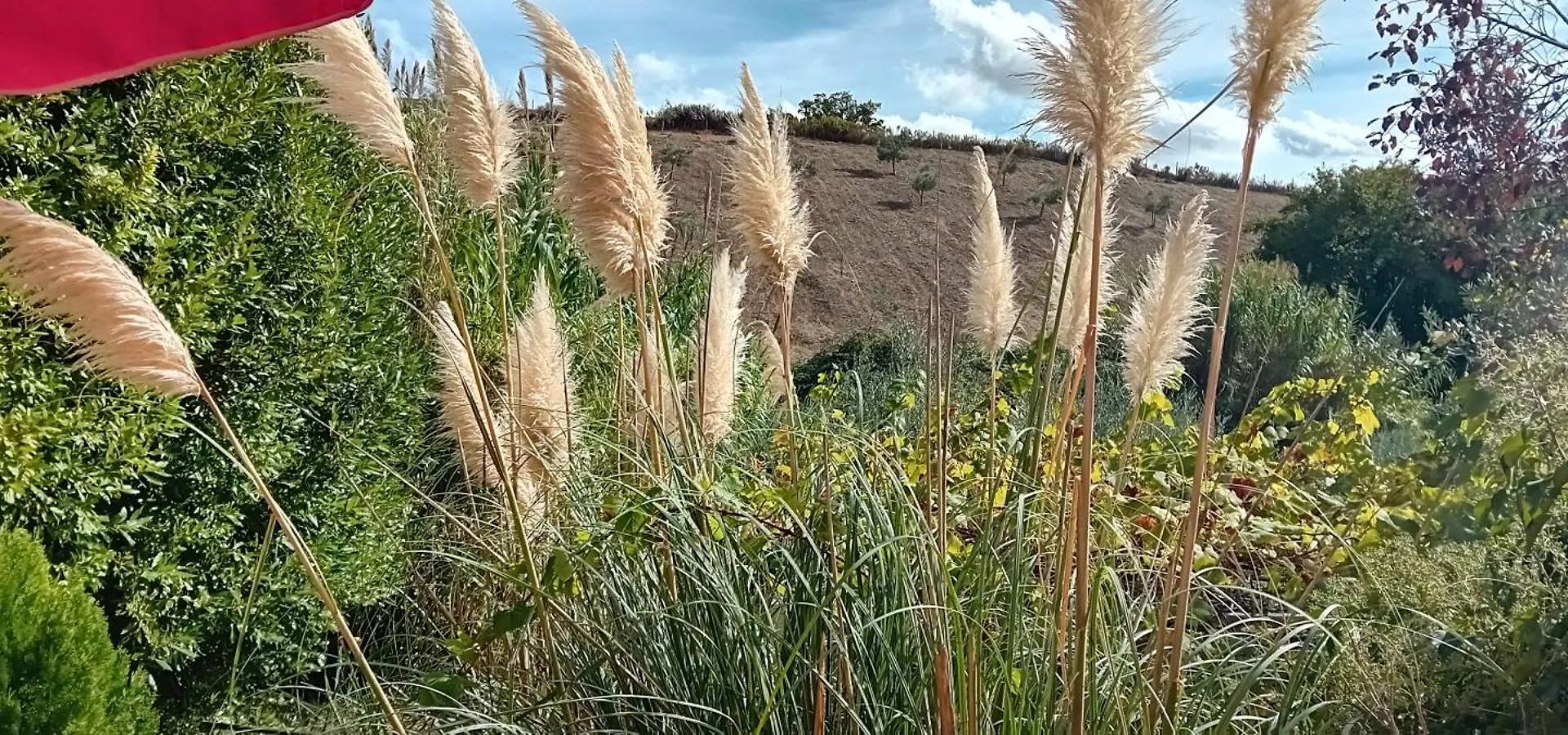 L'Angolino, Casale Vita Nova Manciano 0*,  Italy